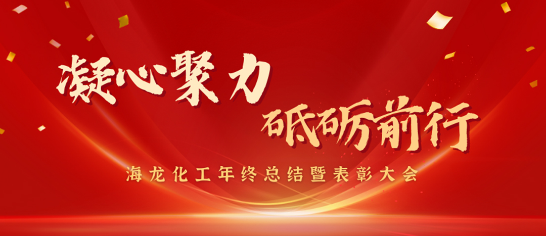 表彰 | 凝心聚力，砥礪前行，海龍化工年終總結(jié)暨表彰大會圓滿舉行